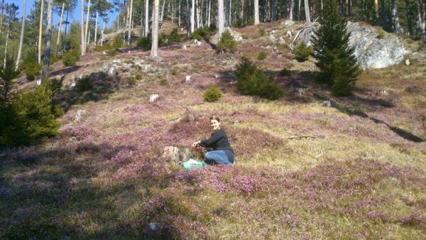 Erica-Met – Bild 3
