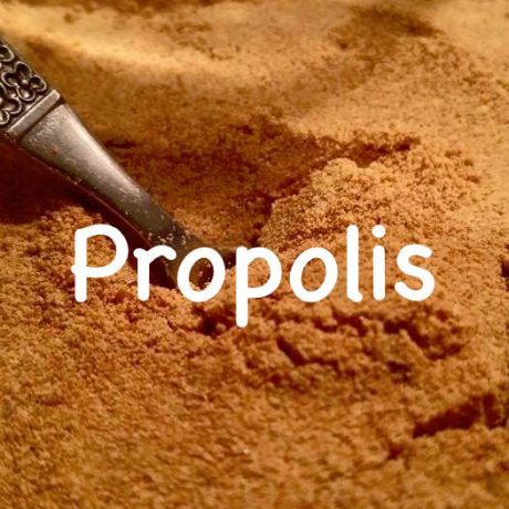 Propolis